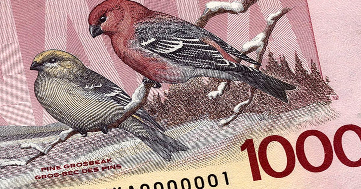 banqueducanada's tweet photo. En 2000, nous avons cessé d’émettre des #BilletsDeBanque de 1000$ pour lutter contre le blanchiment d’argent.
Les billets retournés ont été détruits.
Depuis 2021, les billets de 1, 2, 25, 500 et 1000$ de chaque série n’ont plus cours légal: https://t.co/YcmCA4qxQ4
#JeudiRétro https://t.co/6Hr7uZEoLL