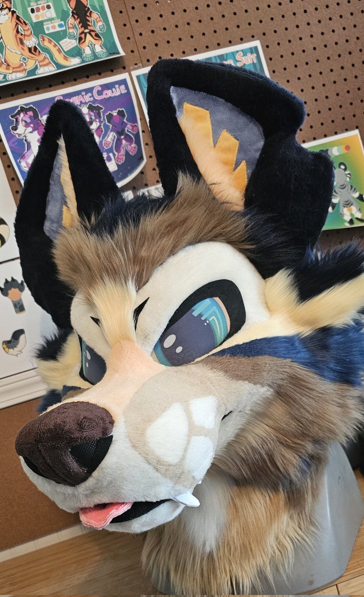 ItsCraftyCoyote's tweet photo. Yip yap yap!! Coyote head is all done!

Now I just need to make them paws and a tail, and they will be posted for sale. :D https://t.co/xWuk8sBIi9