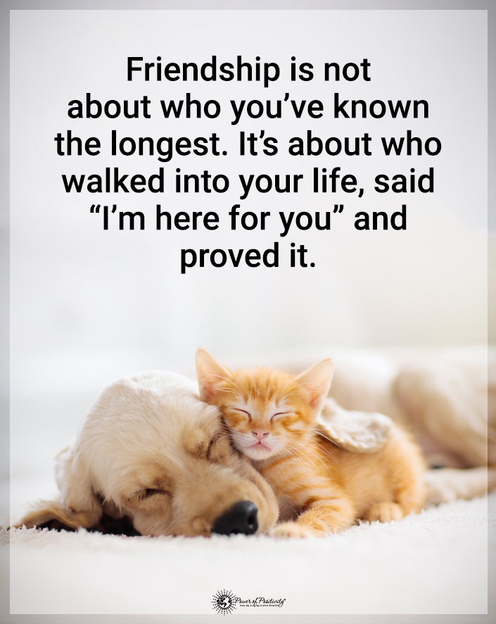 “Friendship is not about who you’ve known the longest. It’s about who walked into your life and said, ‘I’m here for you’ and proved it.”