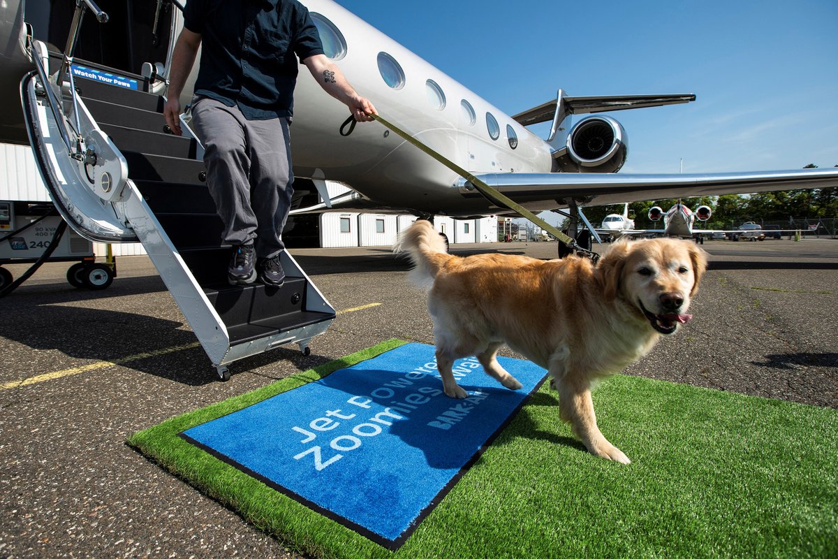ktnewsonline's tweet photo. (ภาพเพิ่มเติม)

ภาพ: Reuters

#กรุงเทพธุรกิจ #BARKAir #DogsFlyFirst https://t.co/MKnaX3DcBd