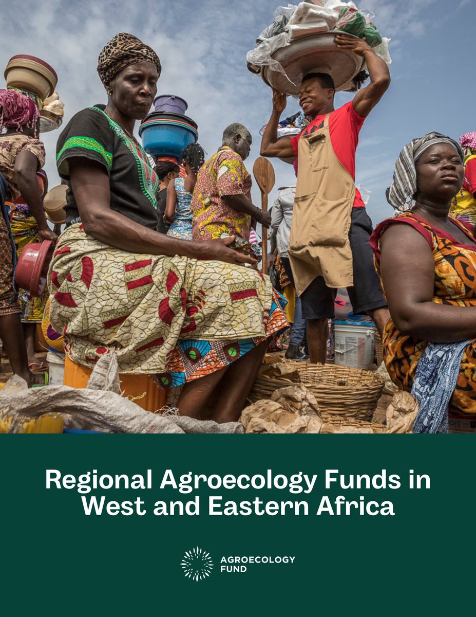 🎉 Great news from @FundAgroecology & @TrustAfrica who are launching regional funds in West & Eastern Africa to fund grassroots #FoodSystems transformation. Philanthropic organizations including Global Alliance members have financed the funds. ➡️ bit.ly/3WOJyqs