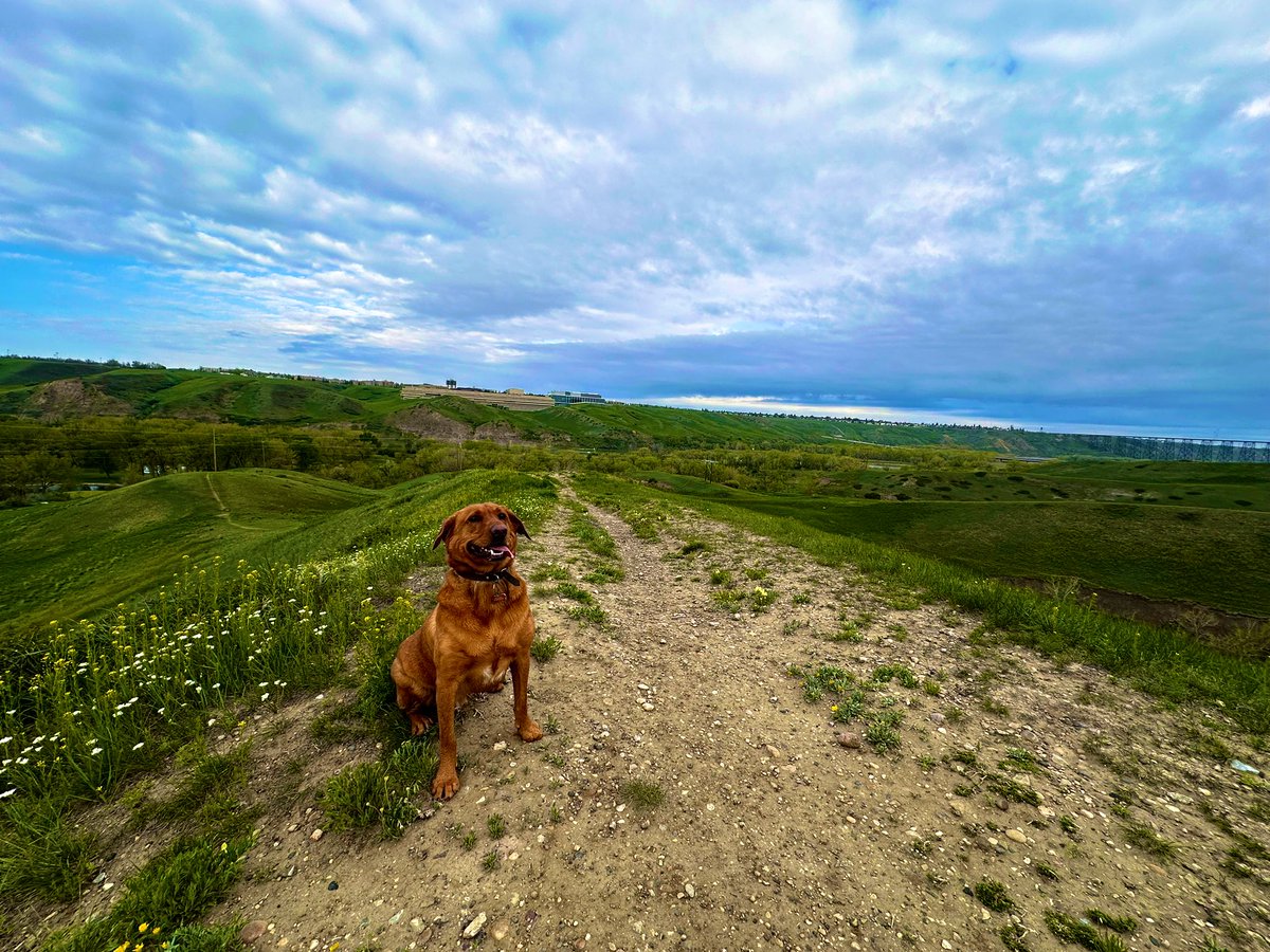 steveplusc's tweet image. “Running longer distances outwardly is merely a reflection of how deep you are willing to dig inwardly. And every step you take outwardly, is another step you take inwardly. What a divine cause and effect.” - Kristin Armstrong