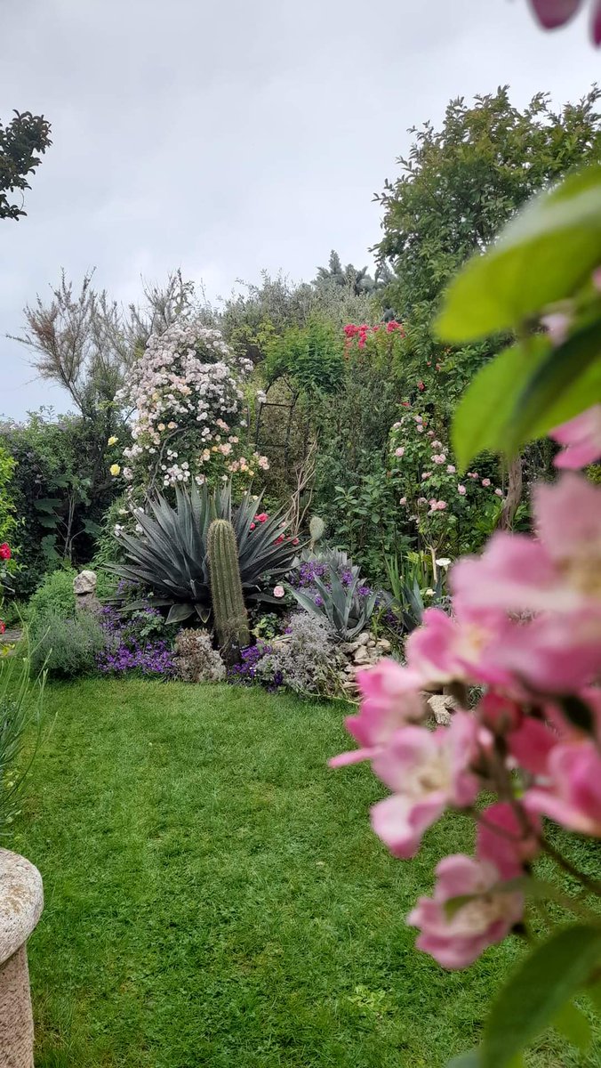 closfleuri's tweet photo. Mon jardin à Chabeuil est prêt pour pouvoir participer à l'événement Les rendez-vous aux jardins les 1 et 2 juin https://t.co/khXpKXWfoB