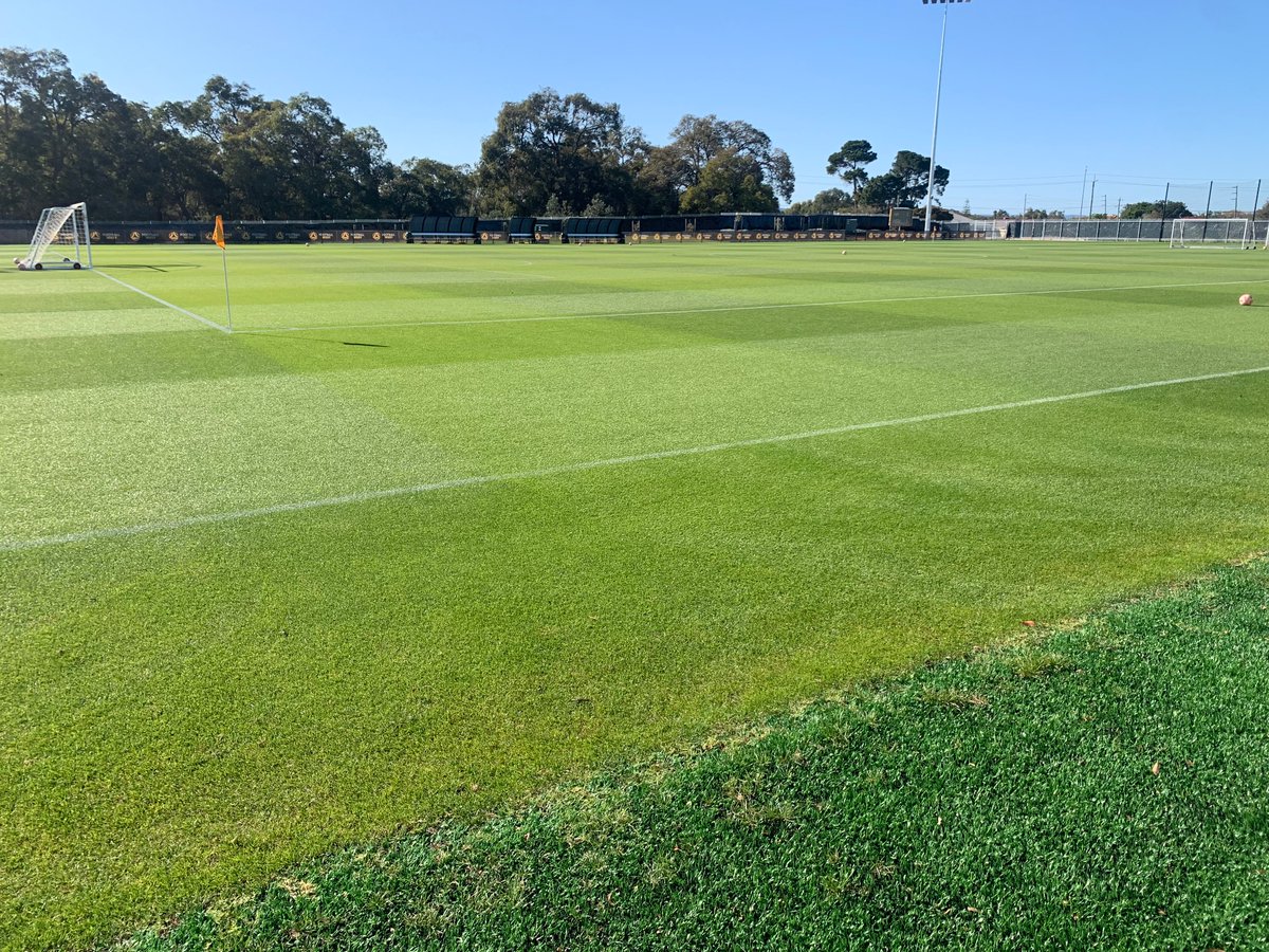 James Toner tweet media