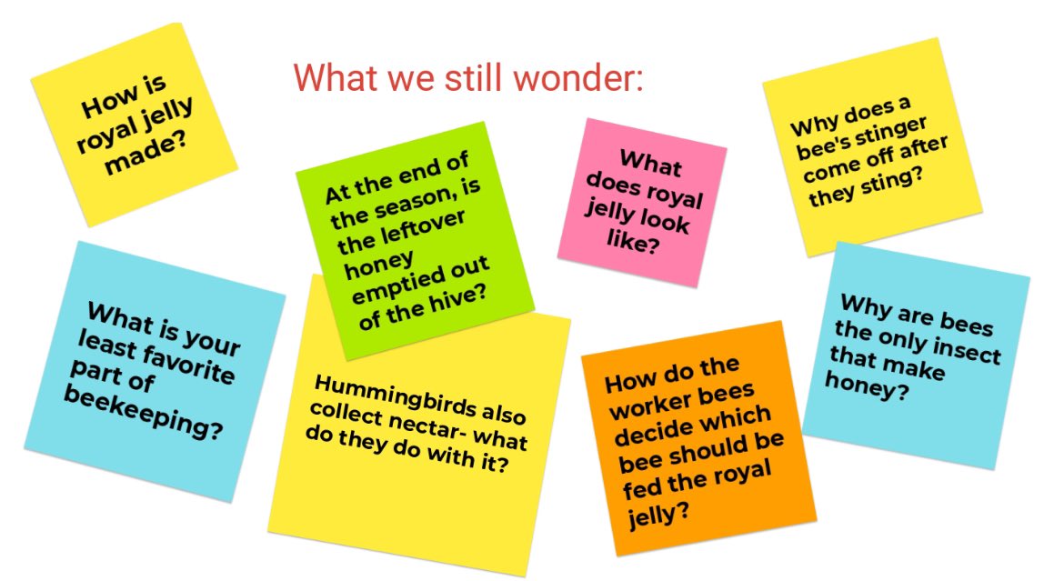 Basil E. Frankweiler tweet media