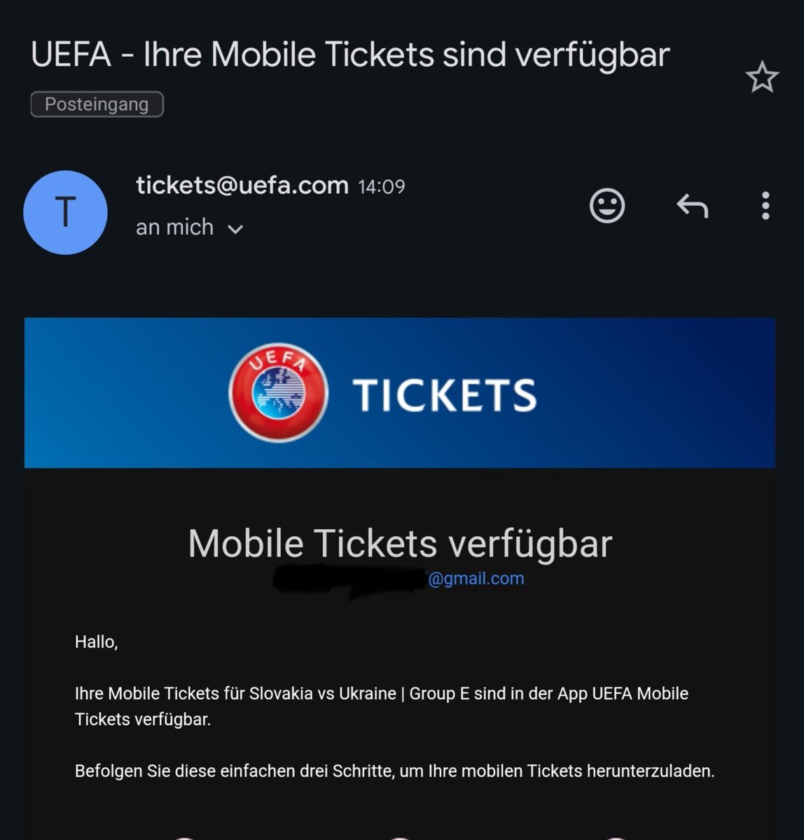 TicketsUefa's tweet photo. @lukasw7001LP @EURO2024 Yes https://t.co/EwCd5B2Ptt