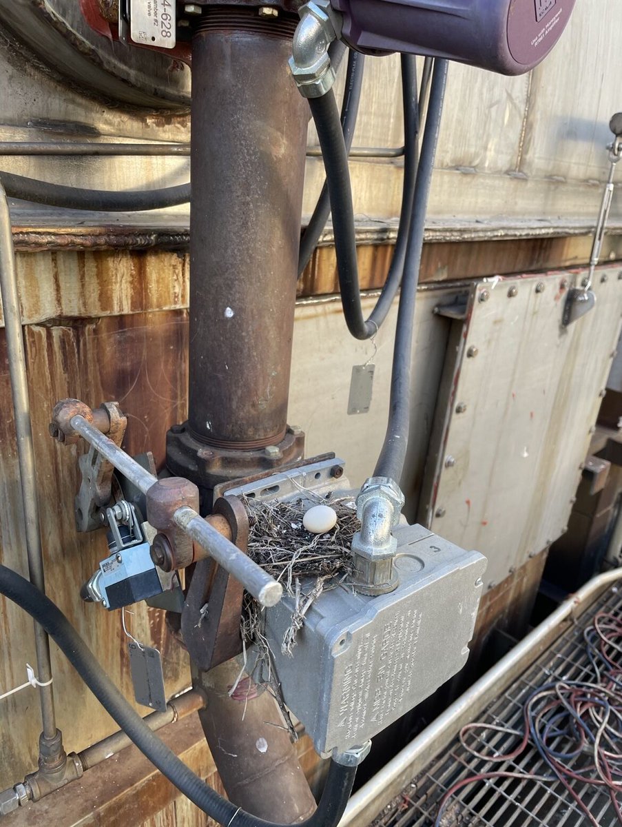 IncheqL's tweet photo. Mother Nature’s way of saying it’s time to reconsider your Preventive Maintenance choices..... 😂 🪺

Get in check with Incheq!

For more, check out our page!
#Incheq #WorkDifferent #preventivemaintenance #taskmanagement #CMMS #bird #nest #BirdTwitter #OEM #egg https://t.co/uSHvkr18RR