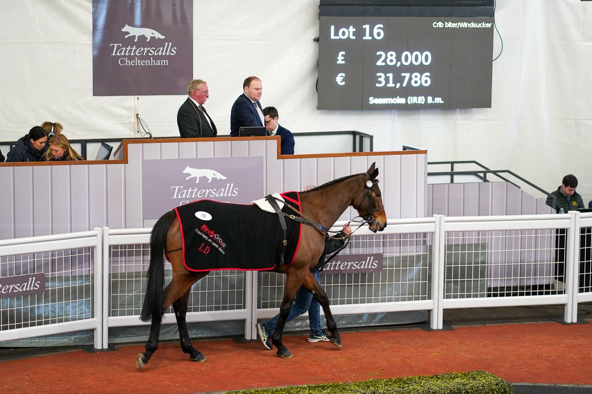 Tattersalls Cheltenham tweet media