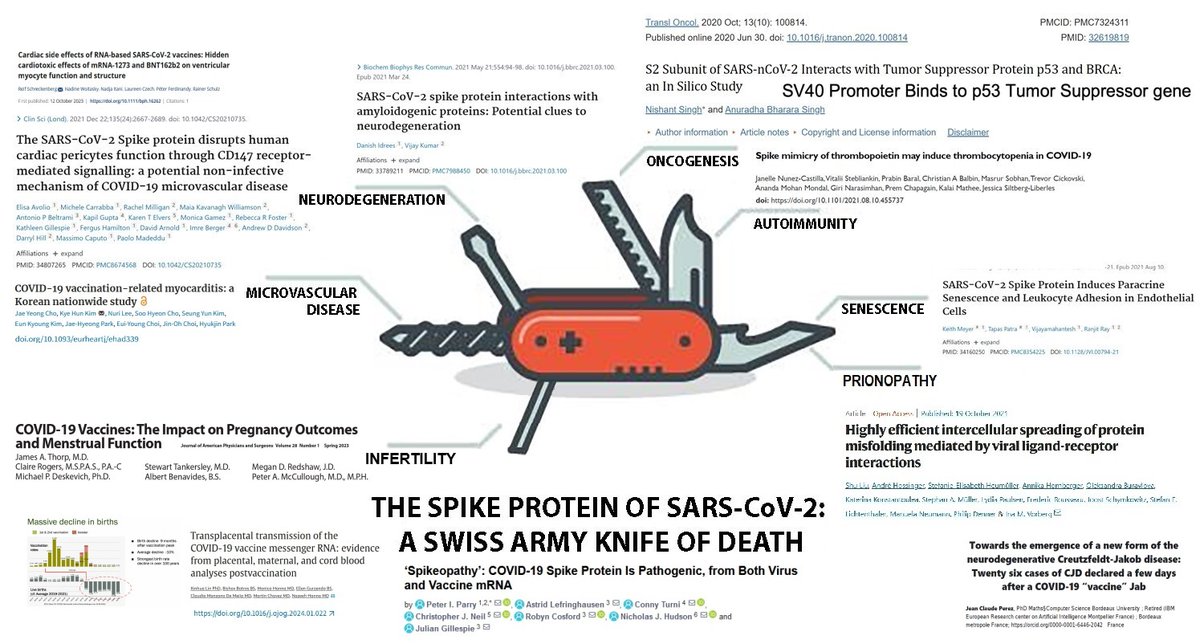 @alisonannyoung @rcfp @spj_tweets @PressClubDC @IRE_NICAR - If SARS-CoV-2 had a laboratory origin, it was a bio-weapon. - If SARS-CoV-2 was a bio-weapon, the last 4+ years were a major global genocide carried out by the hand of man, not a pandemic. - If SARS-CoV-2 was a bio-weapon, we definitely shouldn't have injected its worst parts.