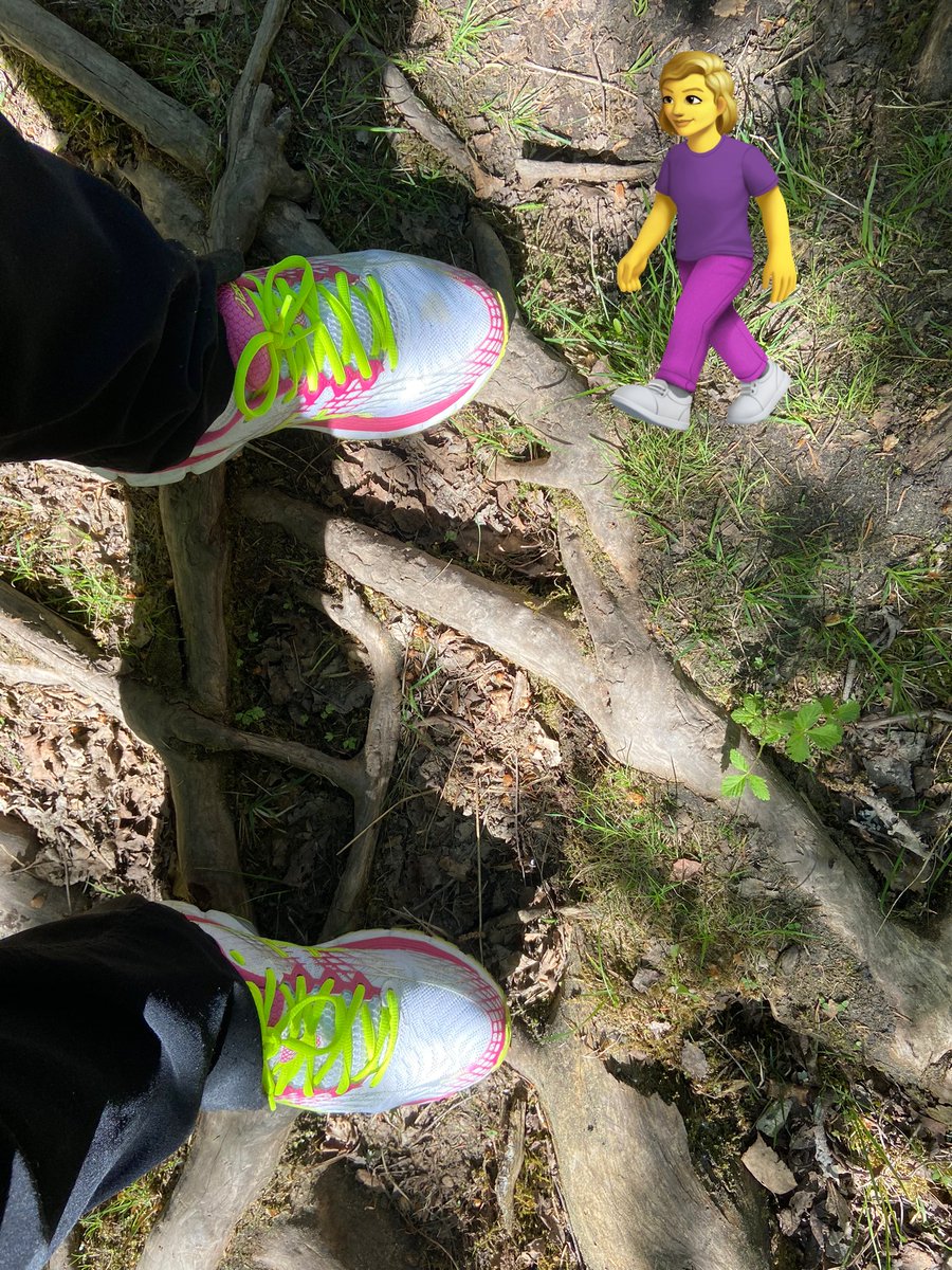 Hellepäivän viilentävä kierros metsässä.