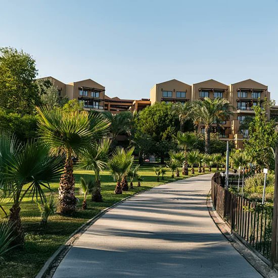 TravelSpotlight's tweet photo. Belek provides travelers of all tastes and interests an abundance of places to explore – from ancient ruins to water sports activities – there’s something here for everyone.
https://t.co/NAwdr5FCnA https://t.co/BU8YfTvYdz