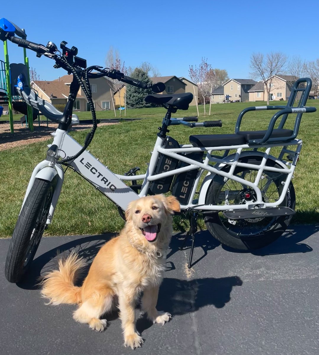 lectricebikes's tweet image. A paw-fect sight! Archie is a very good boy and loves running alongside his owners&apos; XPedition.  🐾

📸 : Spencer C.  📍 Salt Lake City, UT

•••

#lectricebikes