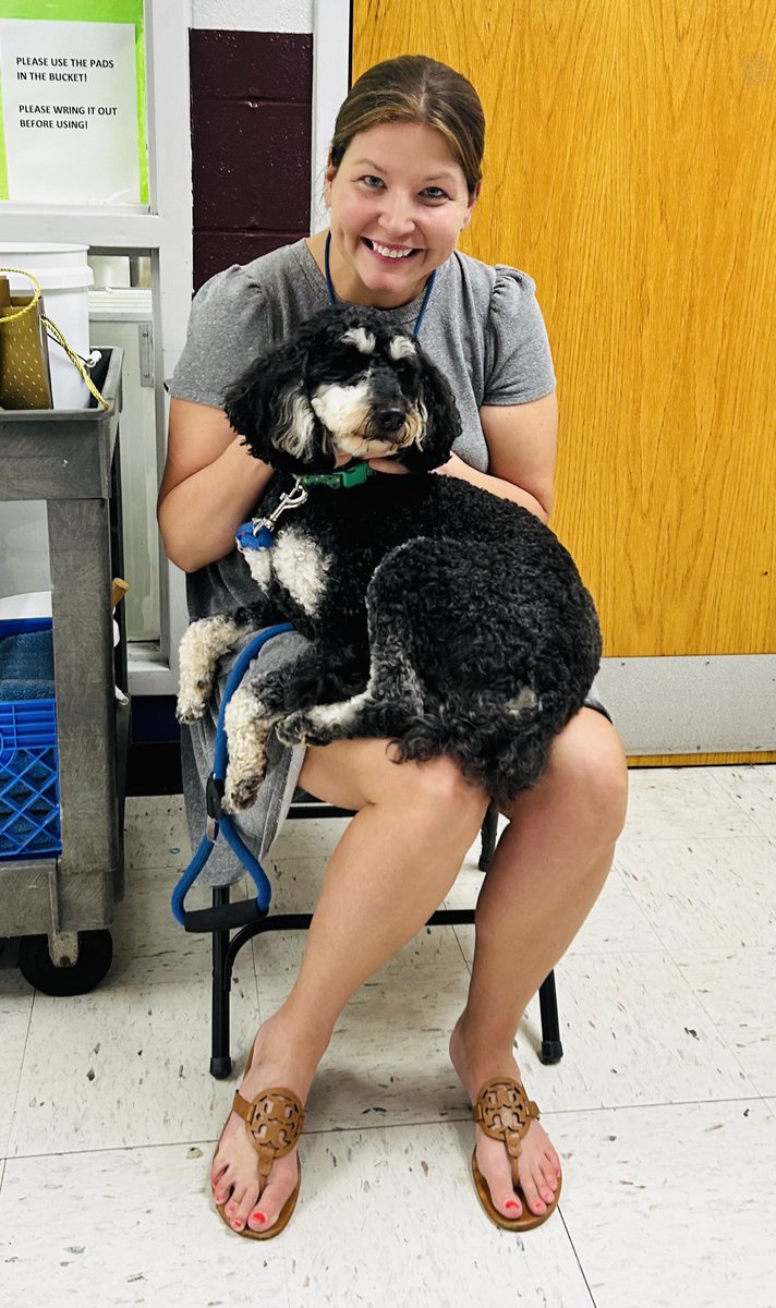 Sunny’s first year at JFB is complete! Thank you for providing comfort, calm, and smiles to our students and staff.❤️🐾❤️🐾<a href="/Kings_Schools/">Kings Local Schools</a> #therapydogs