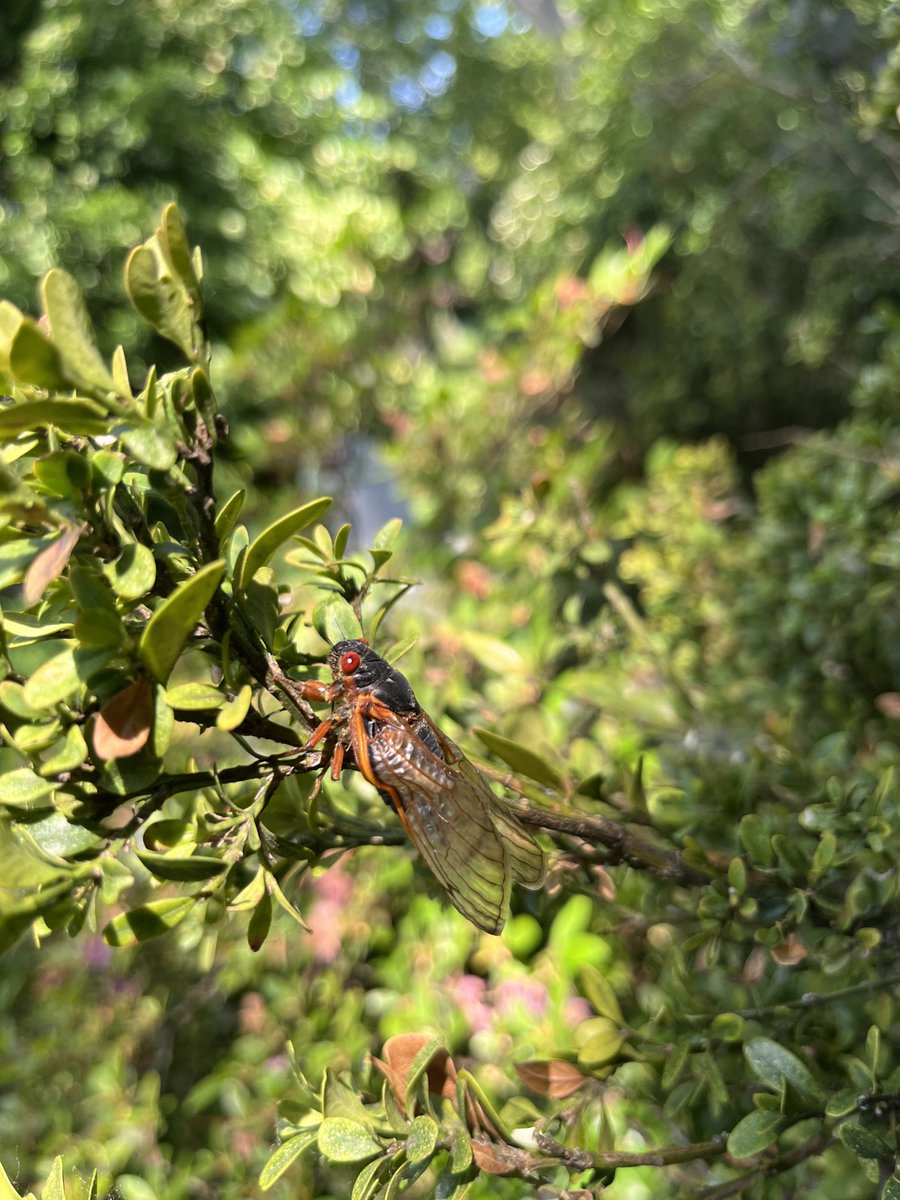 Christopher Steiner (@steinerwriter) on Twitter photo 