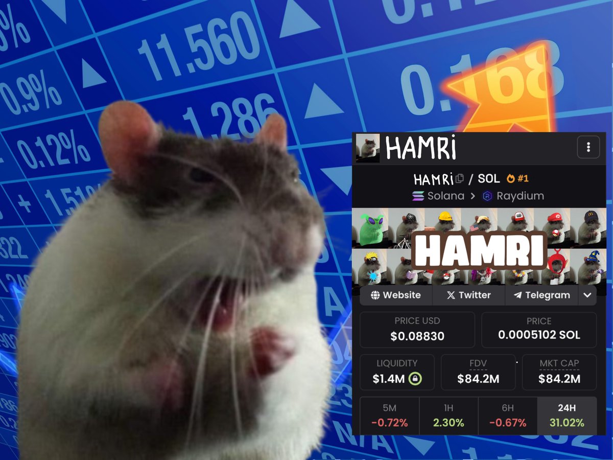 HamriSolana's tweet photo. Is this what Hamri will look like tomorrow? https://t.co/Z2gjTp5Ouq