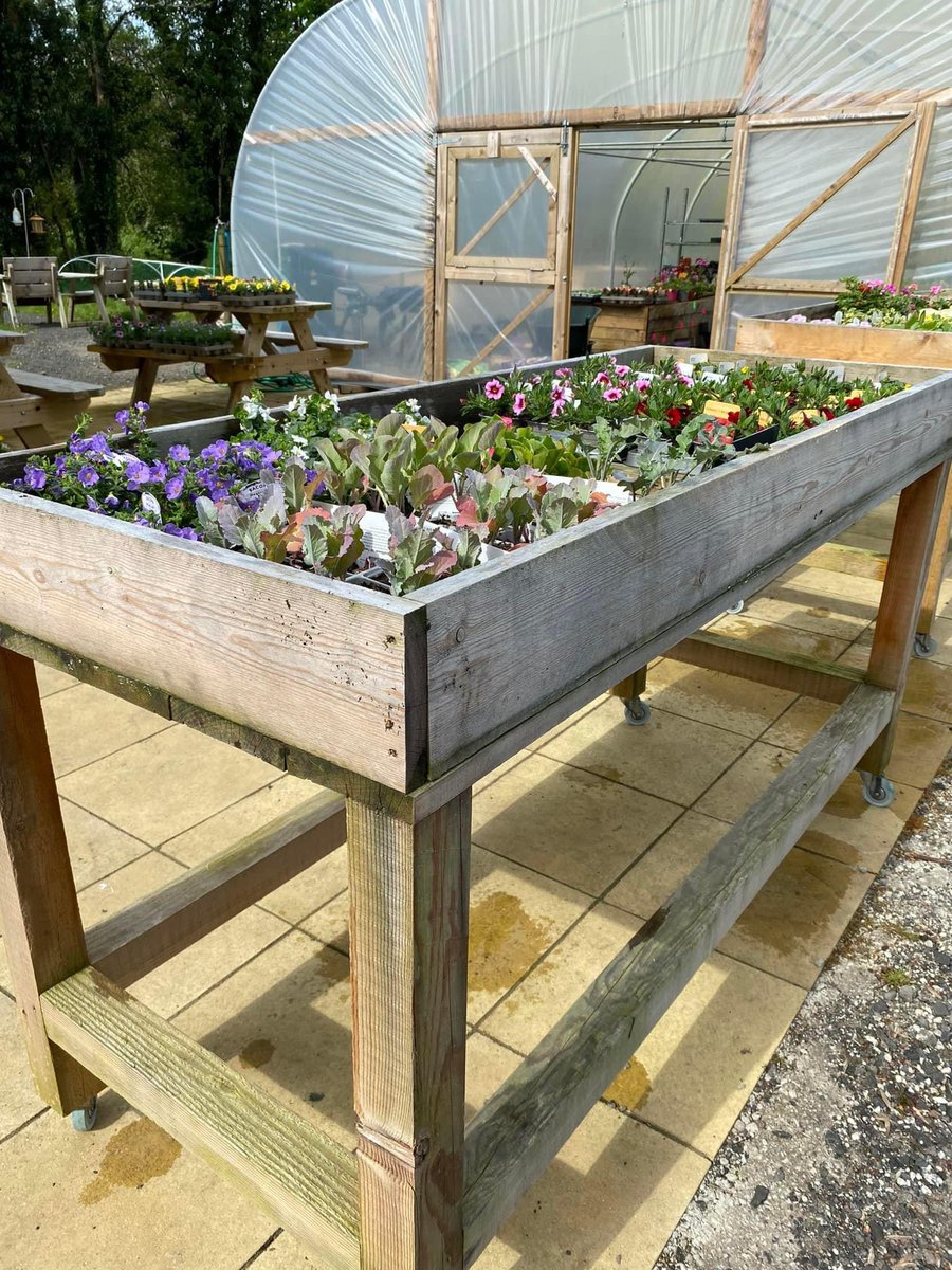 🌷Our Draperstown team donated wooden display boxes to The Open Door Complex in Bellaghy. Now housing bedding plants for their Farm Shop, the community space offers sports facilities, rooms for hire, an allotment and cafe.
lnkd.in/dhkiMipB
#communitysupport #teamwork