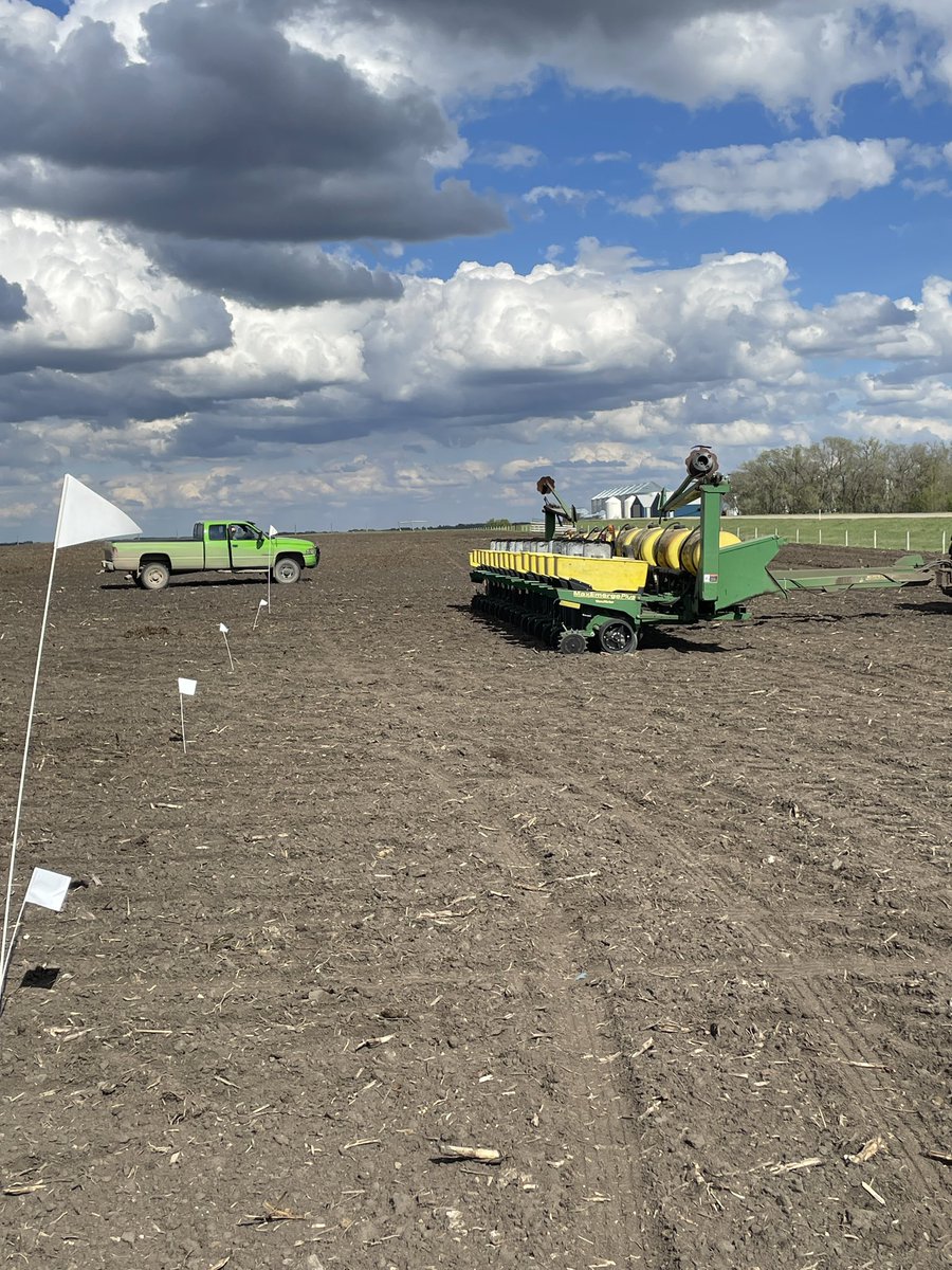 The quickest silage corn trial that I have done! Got great hybrids and excited to see 2024 the #dekalbcorn performance. 

Thanks for the grower in Kipling Sask for helping put in the plot! #teambayer #plant24