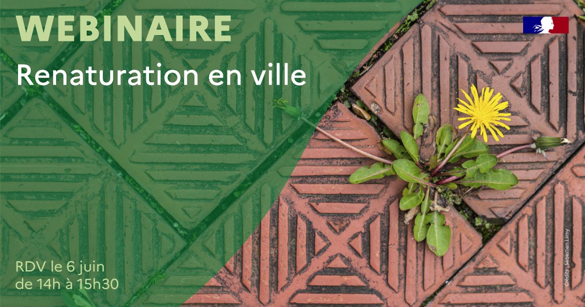 🌱 [WEBINAIRE] Renaturation en ville L'@ademe organise ce webinaire dans le cadre du programme Territoire Engagé Transition Écologique 📅 Le 6 juin à 14h Plus fraîche ma ville, outils à destination des collectivités... 👉 Programme et inscriptions : ofb.gouv.fr/agenda/webinai…