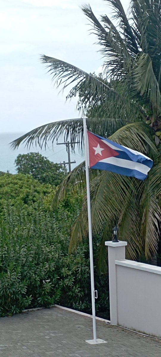 No la véis? Mi bandera es aquella, que no ha sido jamás mercenaria, y en la cual resplandece una estrella, con más luz cuanto más *solidaria 🇨🇺❤️ #DeZurdaTeam #CubaVencerá