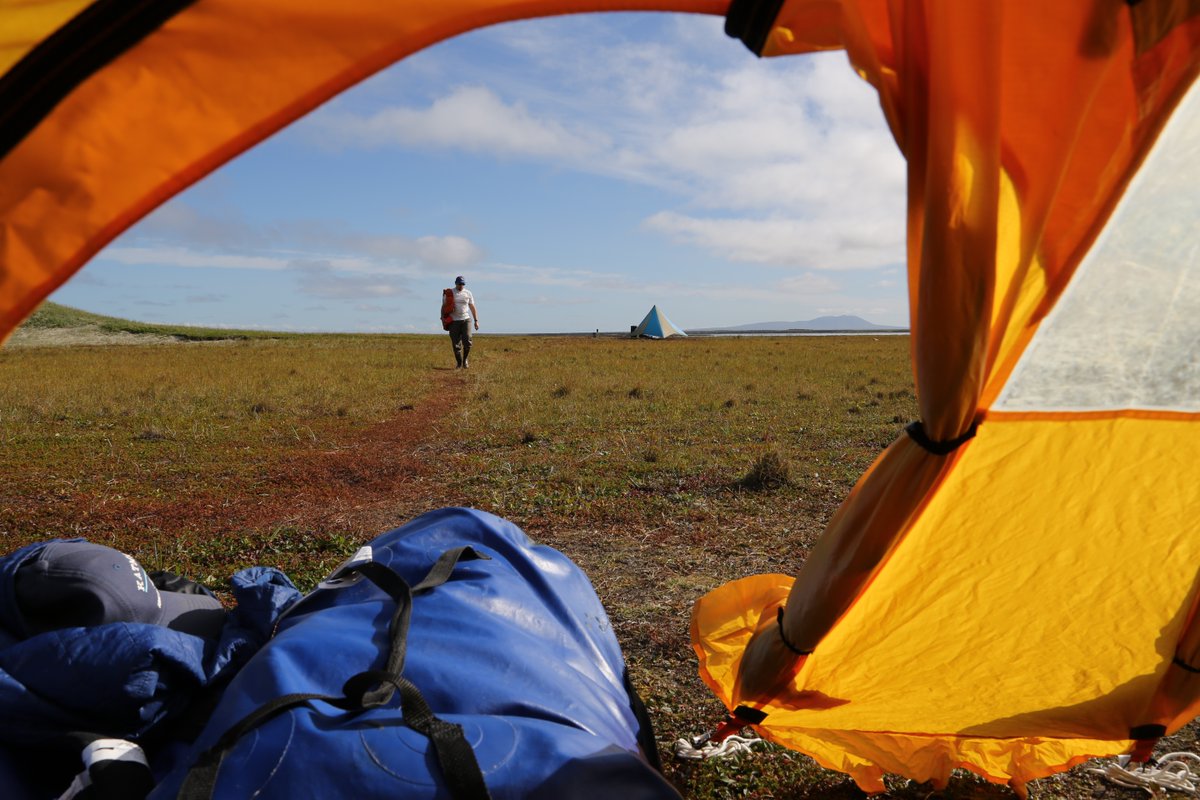 Bering Land Bridge NP tweet media