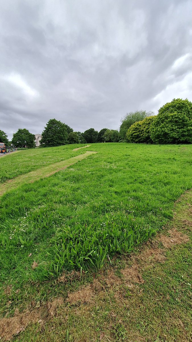 Great to see the start of rewilding as part of #nomowmay #biodiversity <a href="/UniofNottingham/">Uni of Nottingham #WeAreUoN</a> <a href="/UoNSustain/">UoN Sustainability</a>