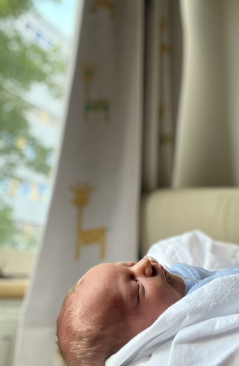 Magnus Rasmussen tweet media