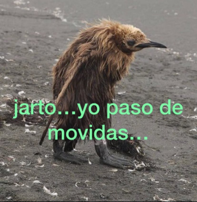 bonsai favela ♠️🦦❤️ (@jorge_gut73) on Twitter photo 