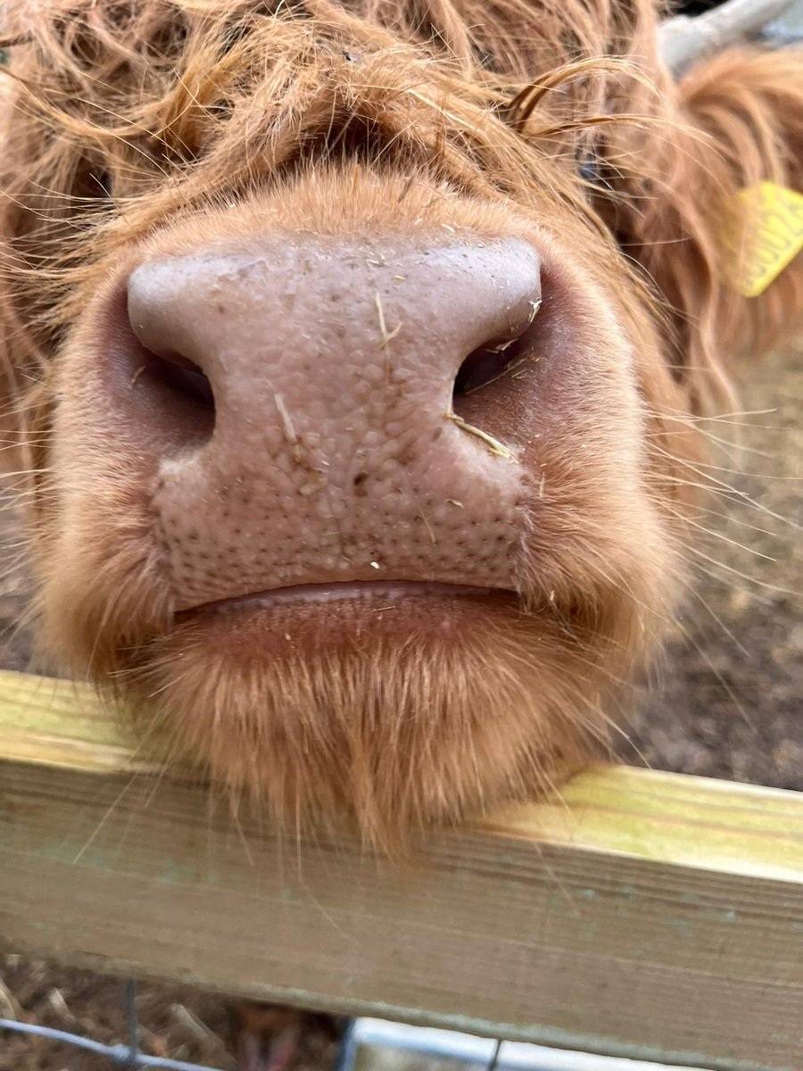 Standalone Farm tweet media