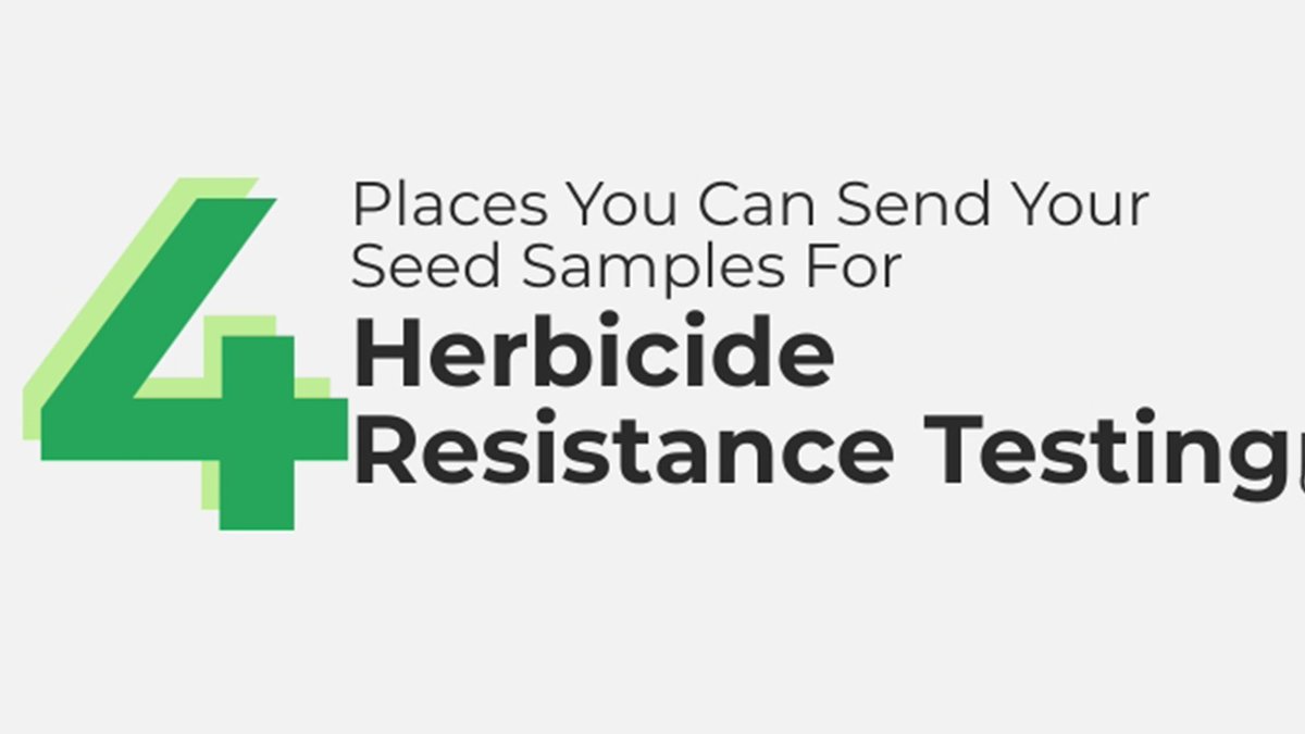 There are four locations across the Prairies where you can send wild oat seed samples for herbicide resistance testing. For more details, check out this infographic from @RWildOat: ow.ly/jJ6I50Rr31b #cdnag #westcdnag #MbAg #MBFarms