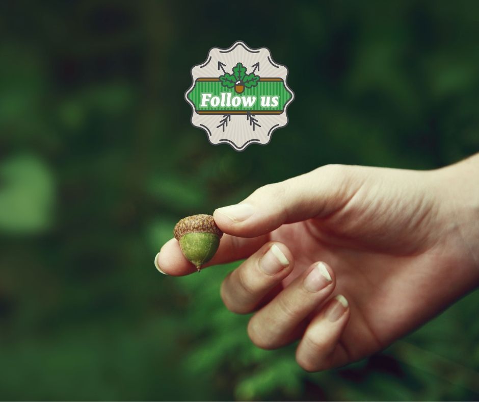 🌿 Change is in the air! Invest From The Ground Up will soon retire, but our commitment to California's urban forests remains strong. Follow us @CaUFC and visit caufc.org. #SustainableCities #CaUFC