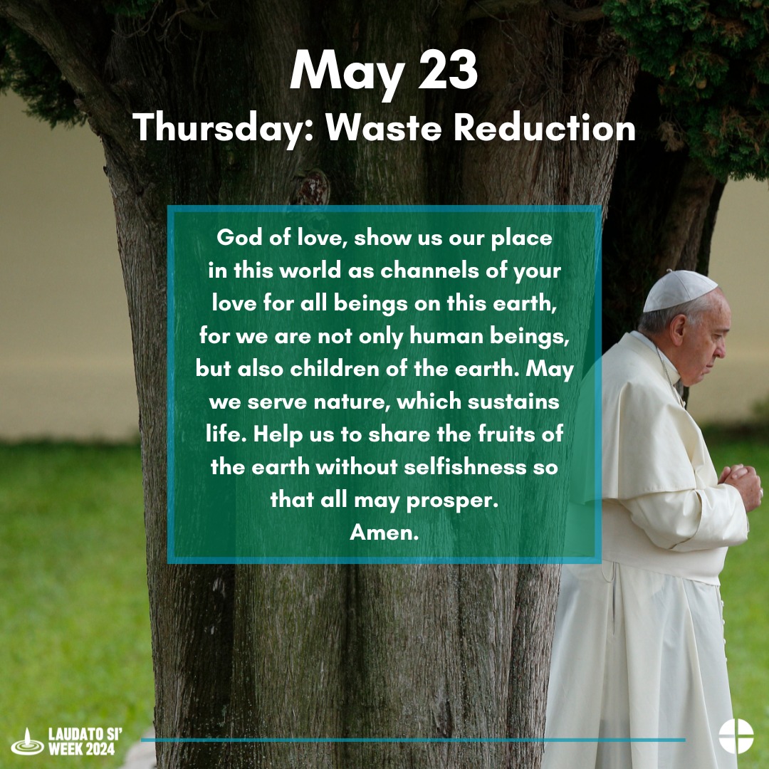 The heavens are the Lord's heavens, but the earth he has given to the children of man. Psalm 115:16 #LaudatoSiWeek2024