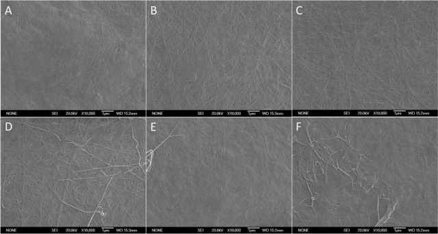 New publication in <a href="/RCRjournal/">Resources, Conservation & Recycling</a> in collaboration with <a href="/BOKUvienna/">BOKU University</a>! Glucose derived from the enzymatic hydrolysate of cellulose (viscose) and polyamide textile wastes can be converted into PHB and bacterial cellulose by C. necator and K. sucrofermentans sciencedirect.com/science/articl…