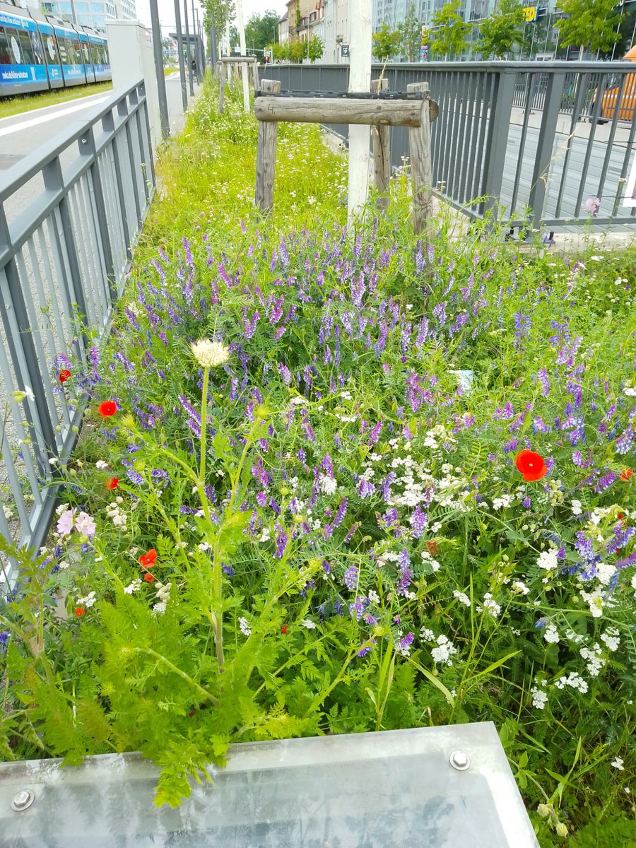 emily01749597's tweet photo. #NatureTherapy https://t.co/4hqSElctVc