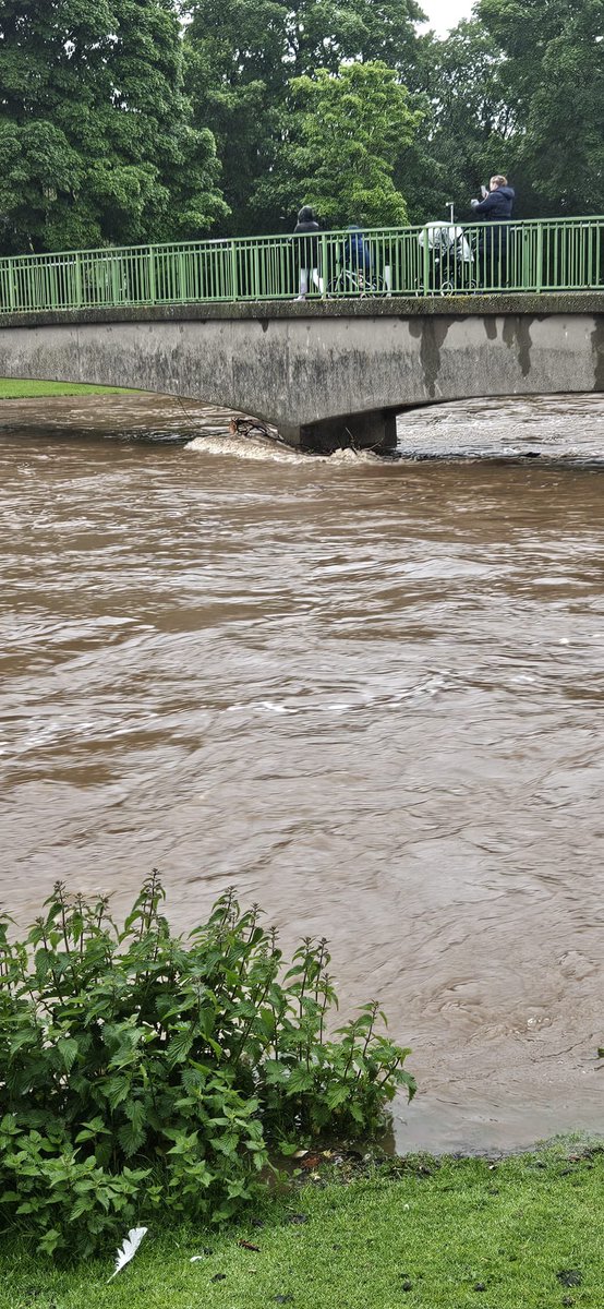 The heavy rain is causing the River Esk to overflow in Musselburgh, including some large detritus flowing downstream. 

I’ve spoken with East Lothian Council about the situation. But please take care everyone. And bring a brolly!