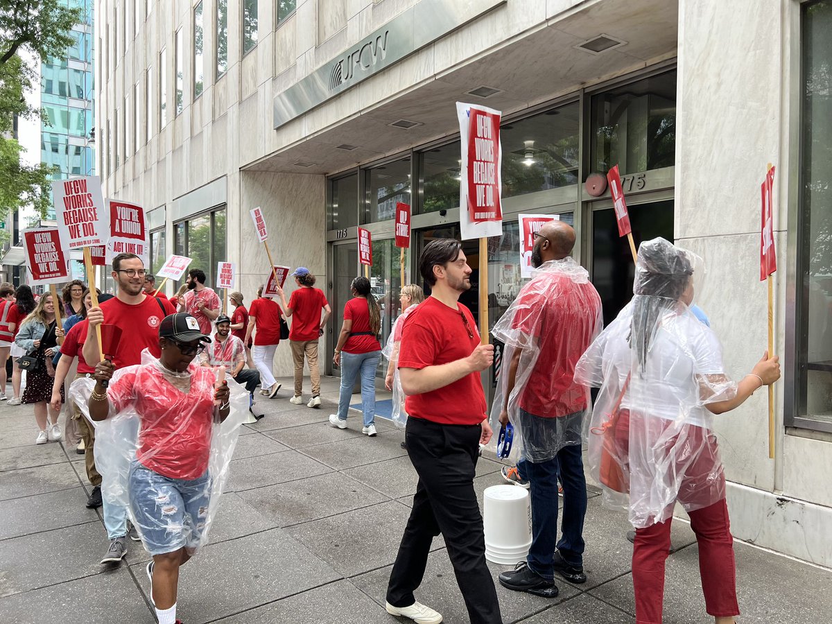 Washingtonian Guild tweet media