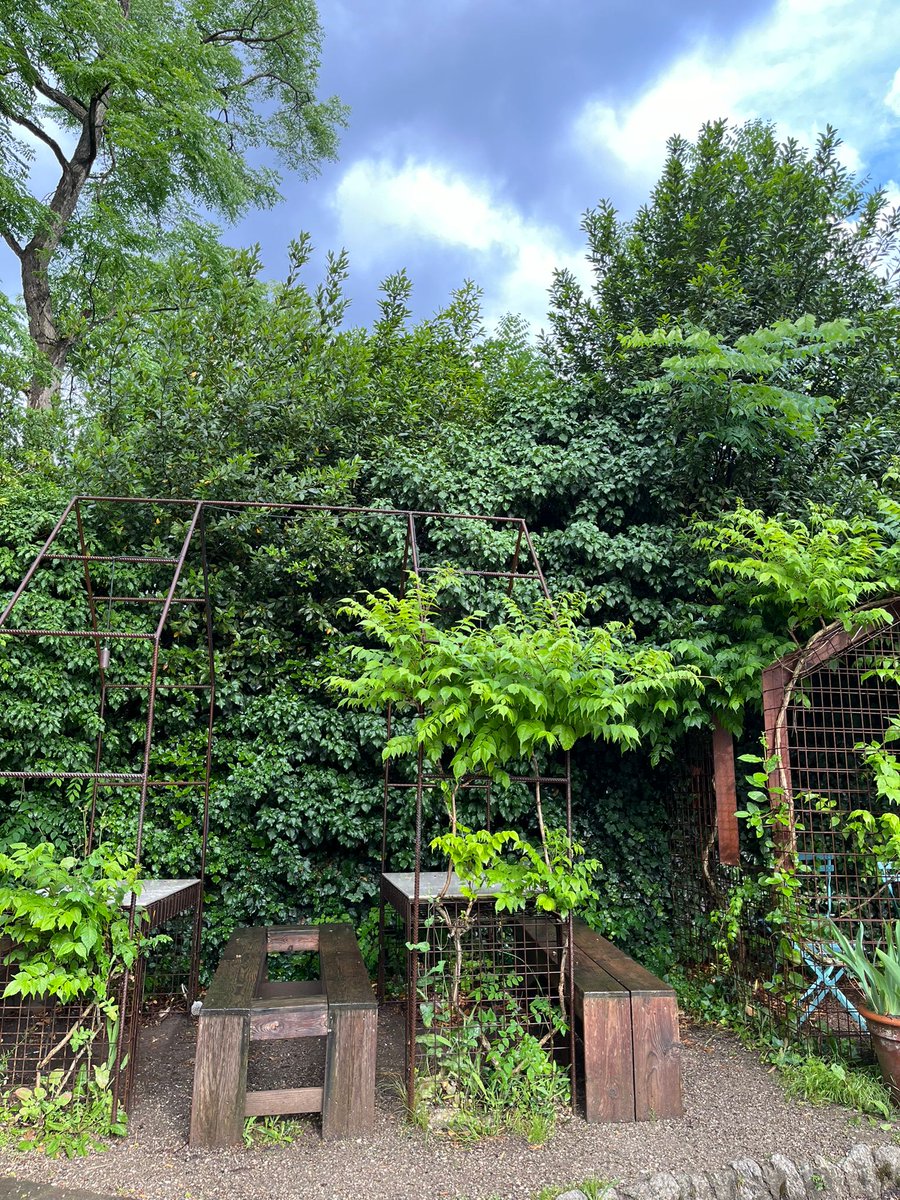 arbopalm's tweet image. Mi corresponsal en #Amsterdam está de viaje y ejerce ahora desde Bolonia (Italia).😍 Me manda fotos del Botanical Bar del #Serre dei Giardini Margherita
Le Serre dei Giardini | Il centro culturale di Kilowatt.
Le ha encantado el concepto...Y a mí.