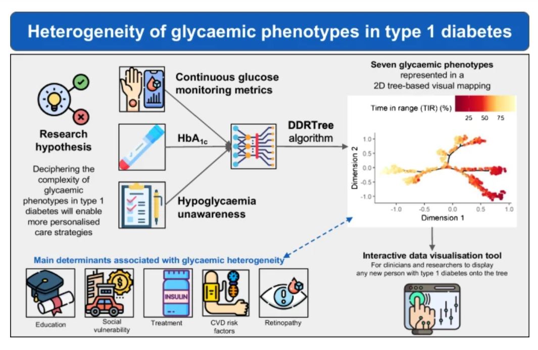 Diabetologia (@diabetologiajnl) on Twitter photo New study advances understanding of complex glycaemic profiles in #T1D and suggests strategies based on isolated glycaemic metrics might not capture real-life complexity of glycaemic phenotypes. #diabetes #Type1Diabetes <a href="/LIH_Luxembourg/">LIH_Luxembourg</a> <a href="/GFaghe/">Guy Fagherazzi</a> <a href="/gaguayod/">Gloria Aguayo, MD, PhD</a> tinyurl.com/56x7xxu8 🔓 New study advances understanding of complex glycaemic profiles in #T1D and suggests strategies based on isolated glycaemic metrics might not capture real-life complexity of glycaemic phenotypes. #diabetes #Type1Diabetes <a href="/LIH_Luxembourg/">LIH_Luxembourg</a> <a href="/GFaghe/">Guy Fagherazzi</a> <a href="/gaguayod/">Gloria Aguayo, MD, PhD</a> tinyurl.com/56x7xxu8 🔓