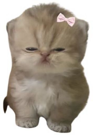 theMADguy tweet media