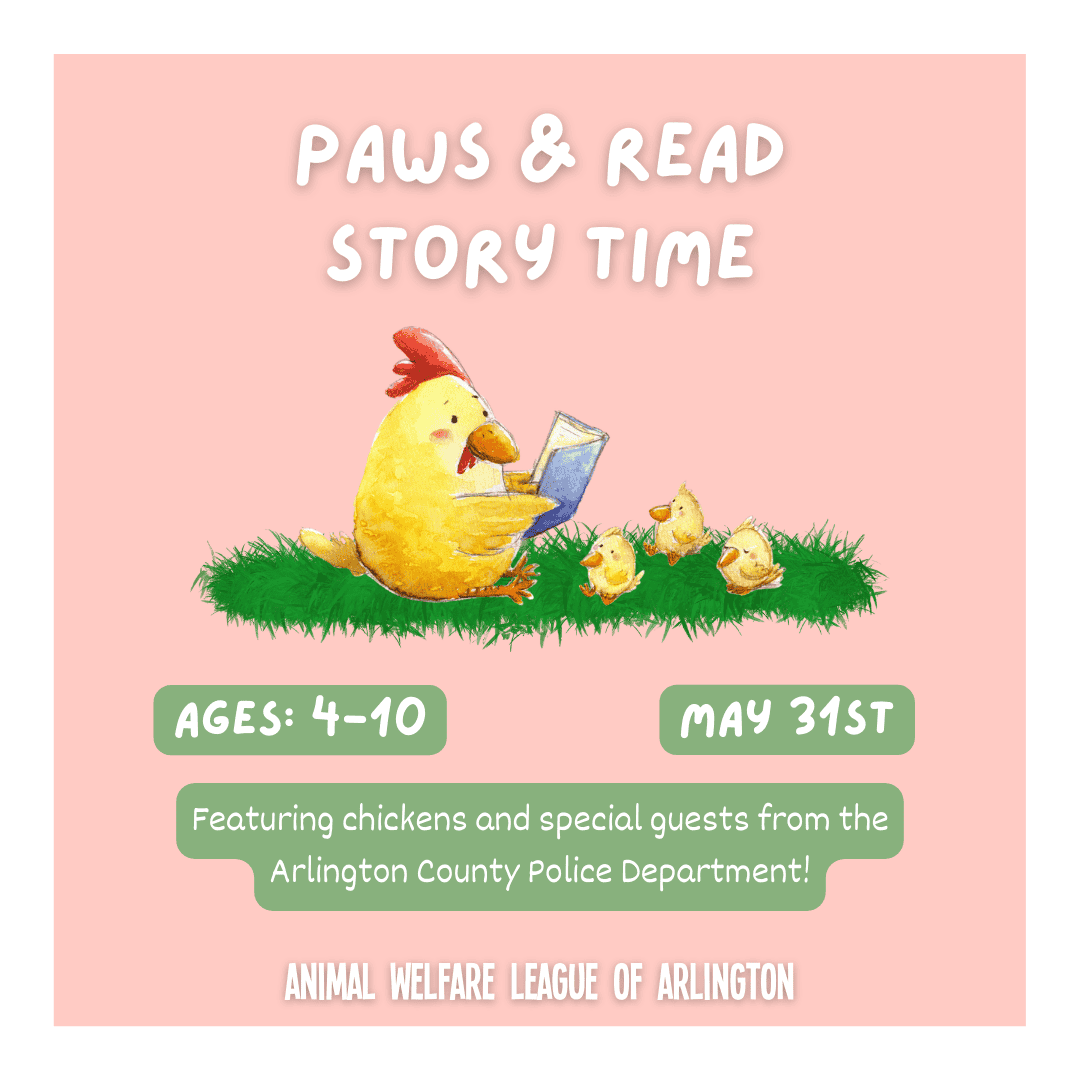 Visit AWLA for a special Spring story time featuring some special guests! Children ages 4 - 10 years old are invited to the shelter on Friday, May 31st at 5:30pm for a Spring story time with our Youth Programs Coordinator, Madi! Register here: awla.org/event/shelter-…