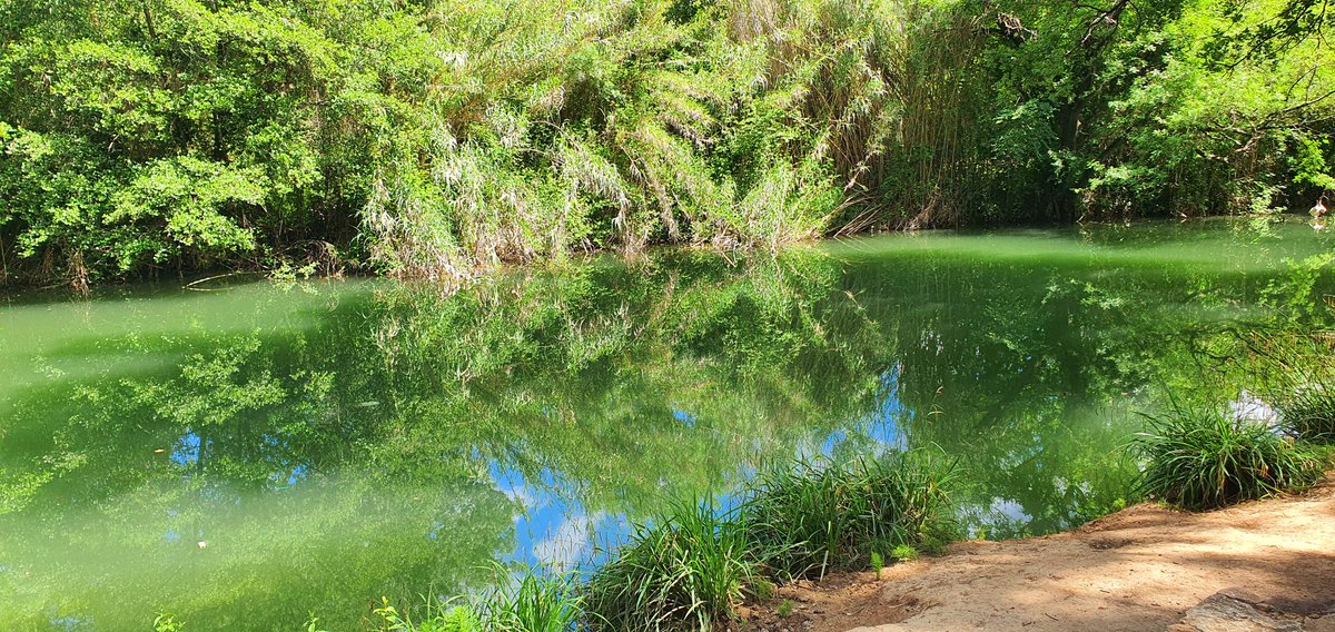 twistertiti27's tweet photo. 🥾 Jeudi Rando 🎒
Aujourd'hui Carcès
De l'eau et du bonheur partagé.
#ProvenceVerte
#VilleDeCarcès
#VAR83 https://t.co/3w55cSgSn9