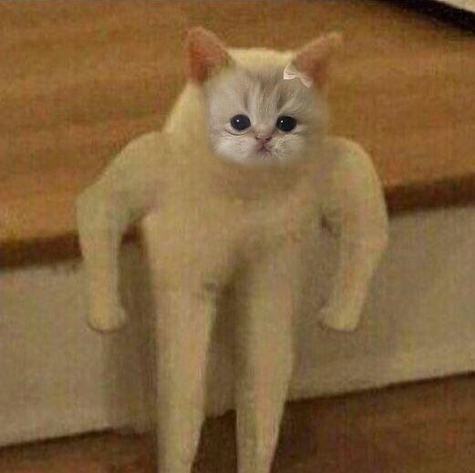 @lovelyhideous tweet media