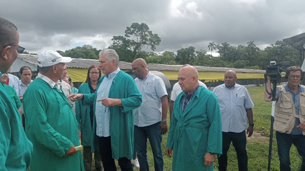 En Yateras, #Guantánamo, visitamos la Planta de incubación-reproducción semirústica "Mártires de la Jaiba", donde amplían en 5ha el área para la producción de alimento alternativo que permitirá enfrentar el déficit de pienso especializado de aves y codornices. #Cuba #GenteQueSuma