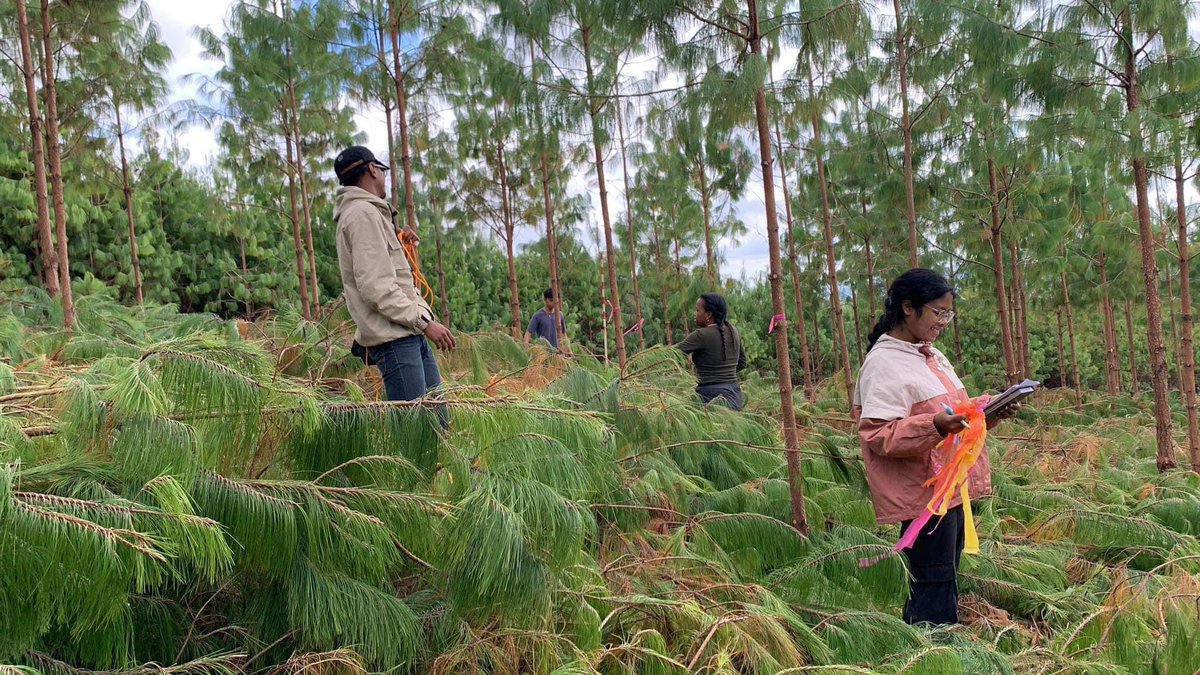 ForesTIA / ESSA-Forêts tweet media