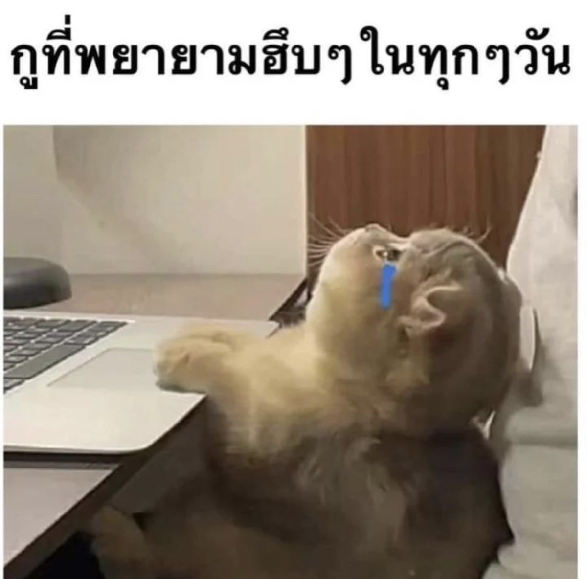 ชีวิตของกูในทุกๆวัน :