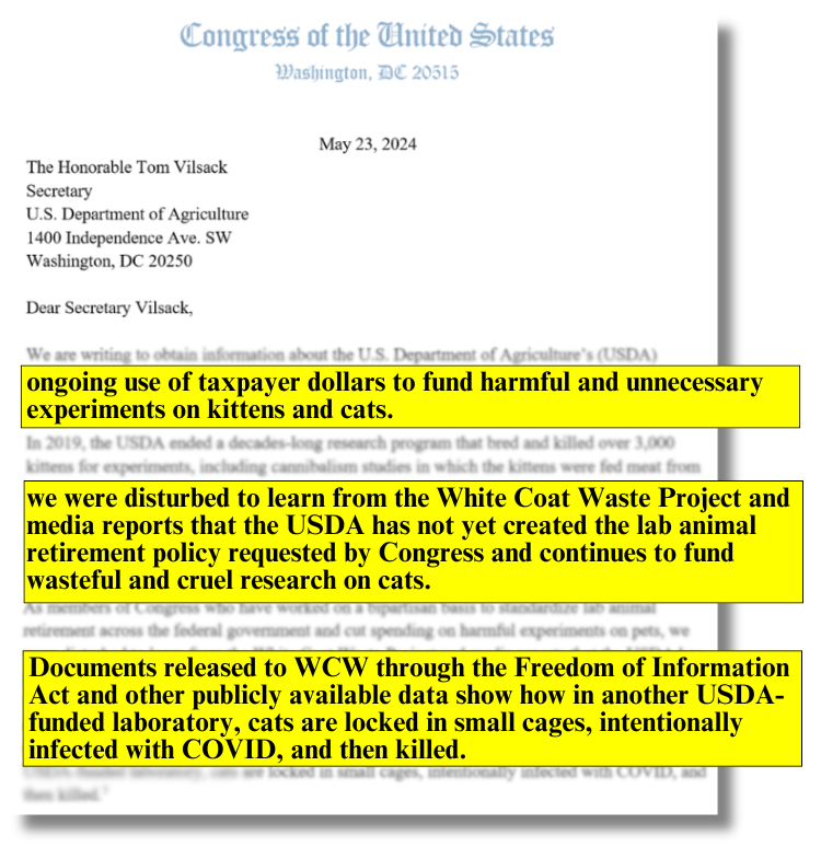 BREAKING: Citing WCW, bipartisan lawmakers demand details about @USDA funding of cat & dog testing & failure to enact lab animal adoption policy 👏@RepNancyMace @RepCardenas @RepTroyNehls @RepMalliotakis @RepBrianFitz @EleanorNorton @RepGregSteube @RepDonDavis @RepShriThanedar