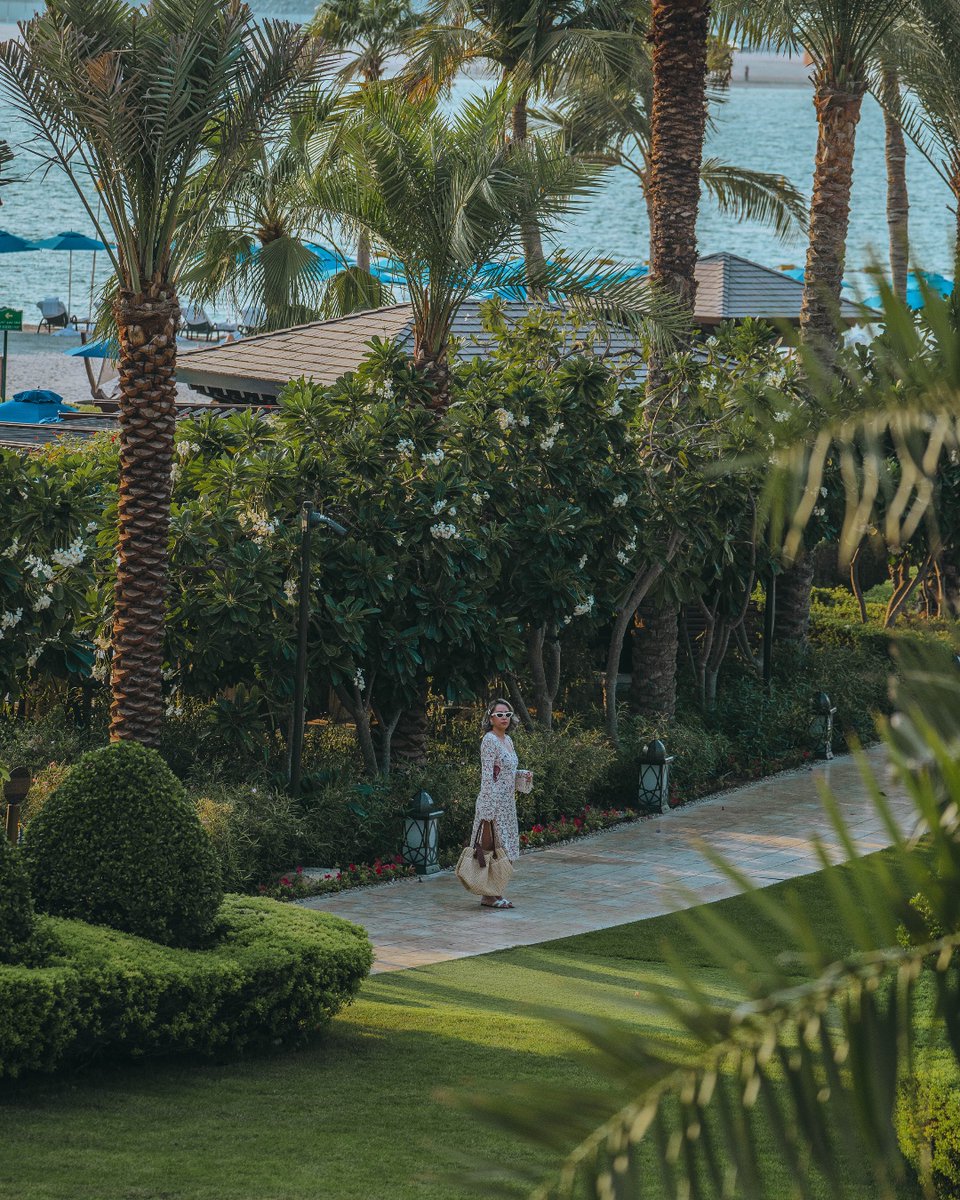 Timeless essentials: a chic @fsdubai beach bag, soaking up the sun, and lush green escapes. ​

📷: @vintagedolls​
#FourSeasons #FSDubai #TravelInspiration