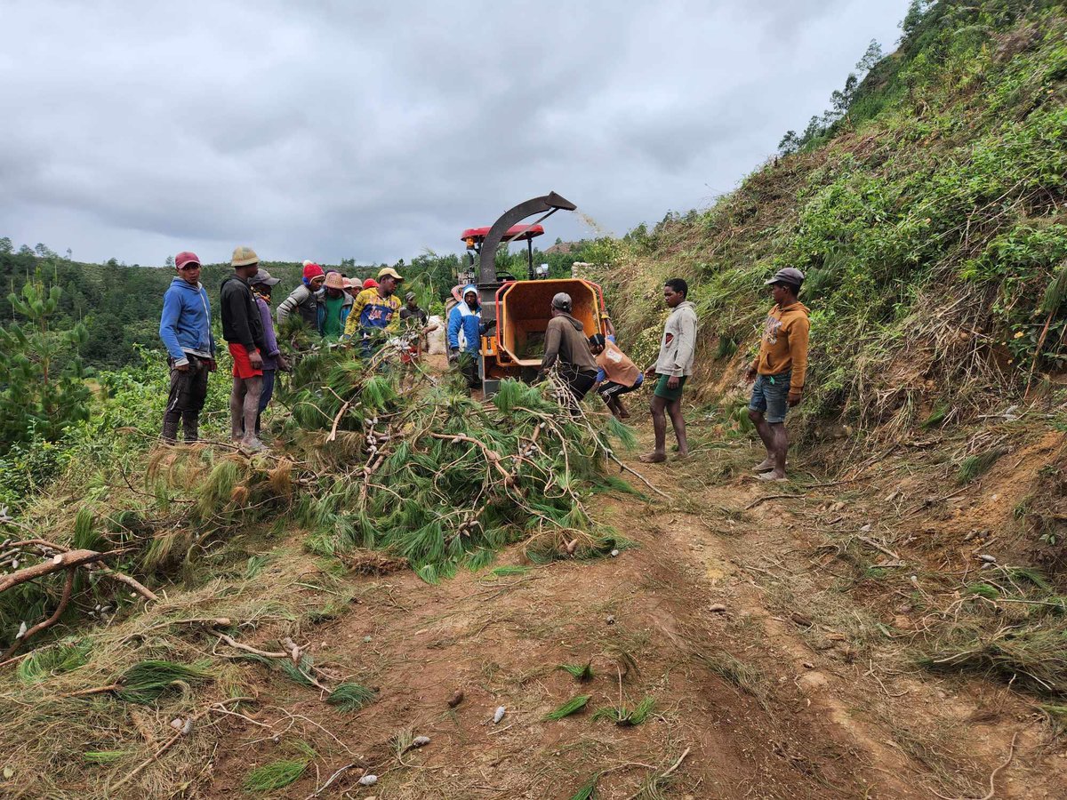 From May 13 to 16, 2024, engineering students from the <a href="/ESSAForets/">ESSA Eaux et Forêts</a> undertook a field internship in Fianarantsoa, hosted by our industrial partner Les Scieries du Betsileo. This internship, aimed to enhance the students' understanding of artificial forests sustainable management.