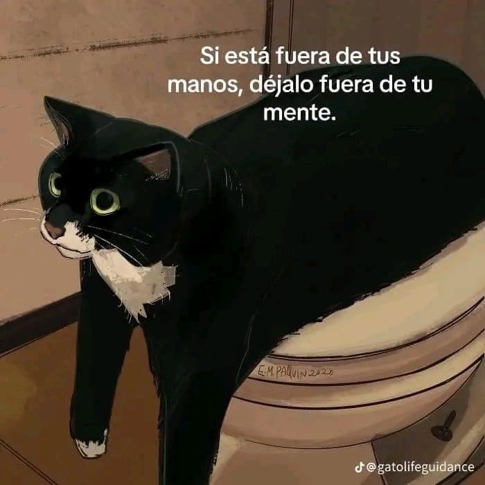 DiloConGatitoz's tweet image. 