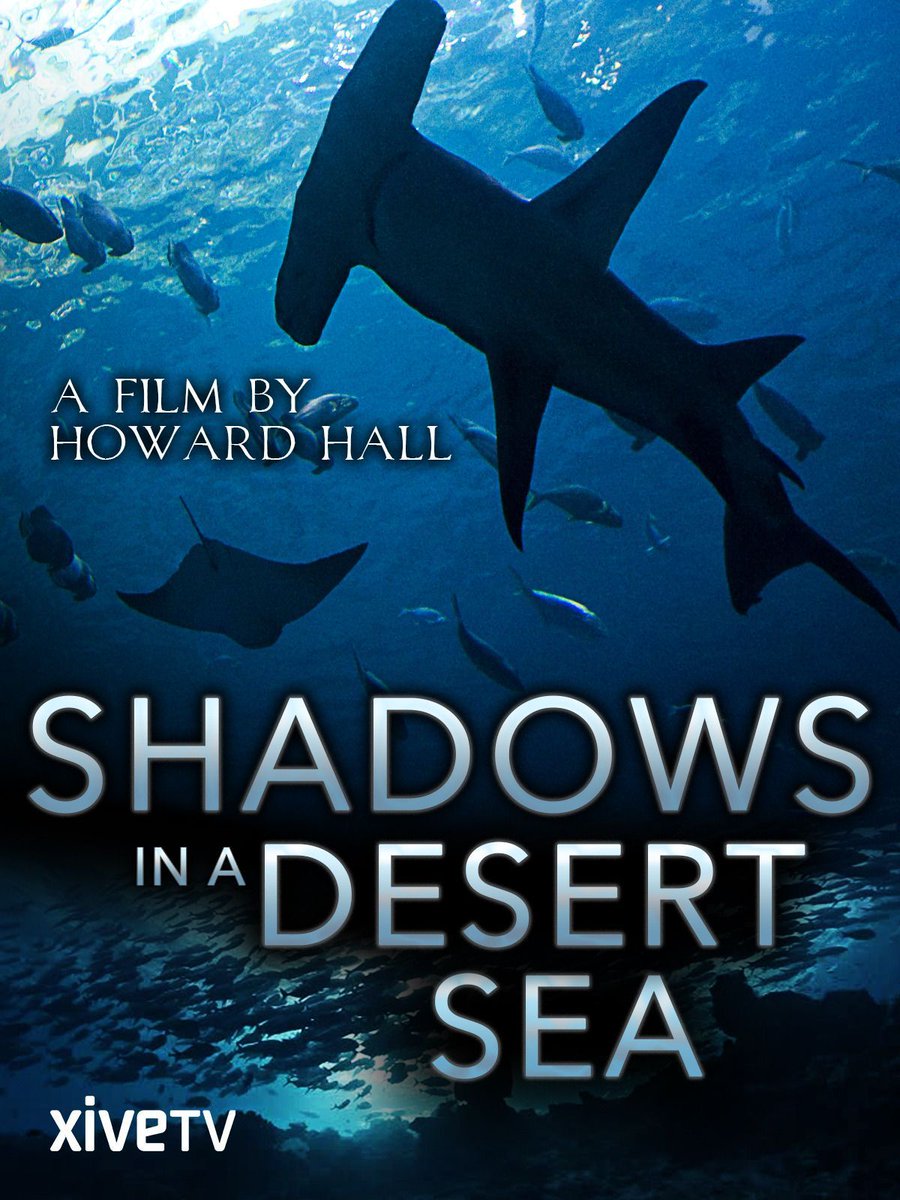 Watch Shadows in a Desert Sea: buff.ly/3SEVDe5 #HowardHallProductions #ocean #scuba #scubadiving #underwater #oceanprotectionleague #climatechange