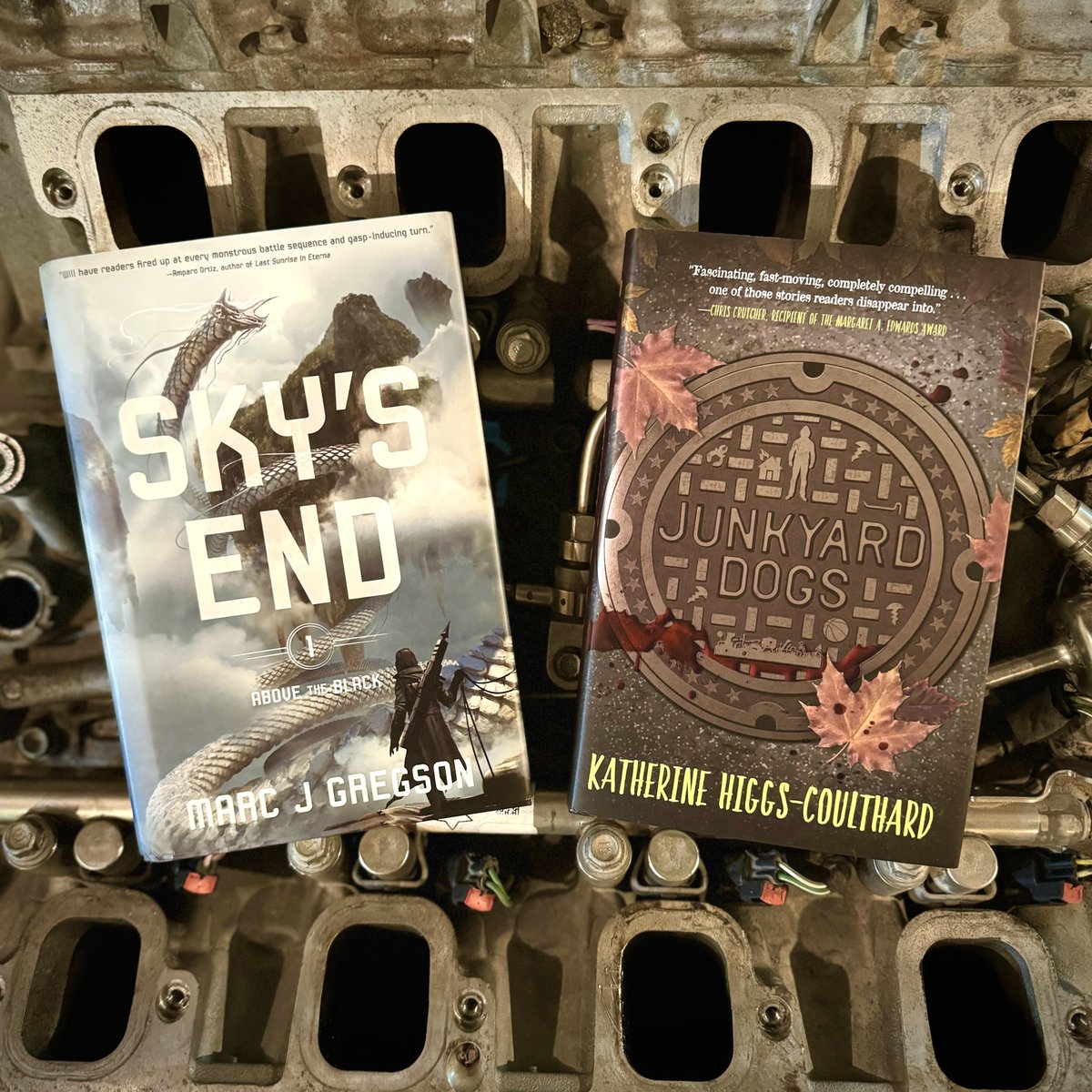 Are you looking for a gripping story to add to your summer reading list? How about a kill-or-be-killed competition with a scrappy underdog hell-bent on revenge? Or, a gut-wrenching story of an unhoused teenager struggling to survive a criminal scrapping ring? On shelves now!